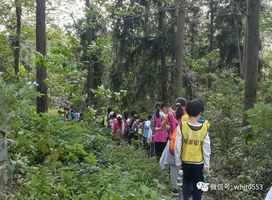 中国城镇老人收入优势下的逍遥游，城镇老人的美景邂逅与内心宁静之旅