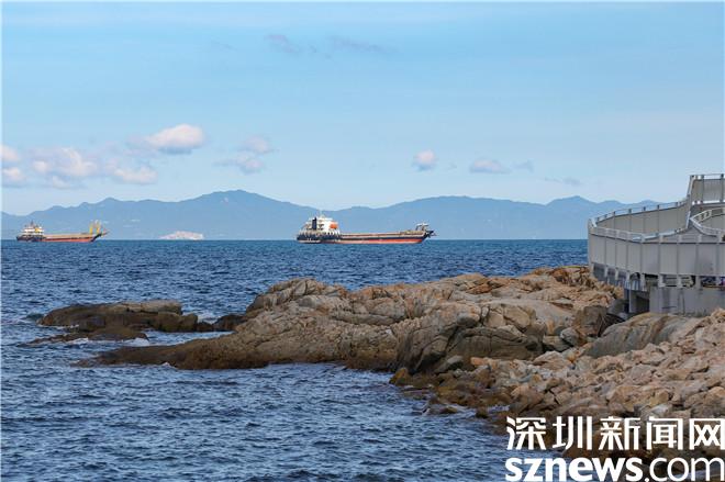 山海协作，山与海的双向奔赴之旅