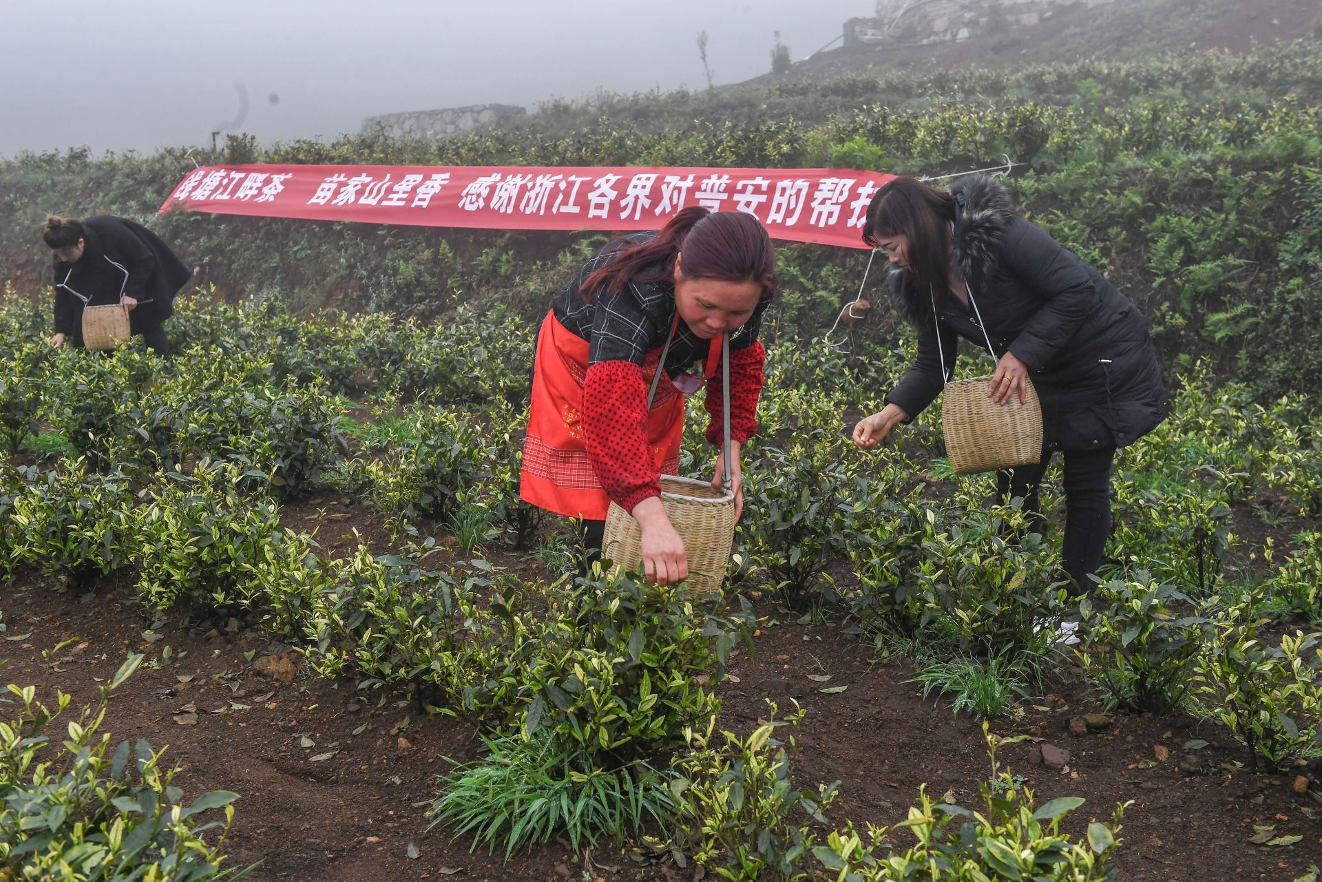 山海协作，山与海的双向奔赴之旅，自信与成就感的展现