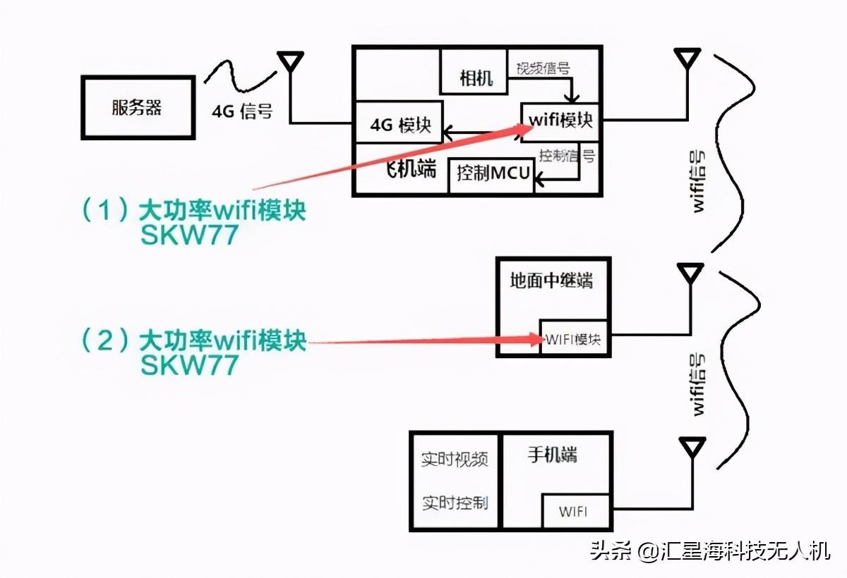 最新版电影观看指南，从零开始的详细步骤教学