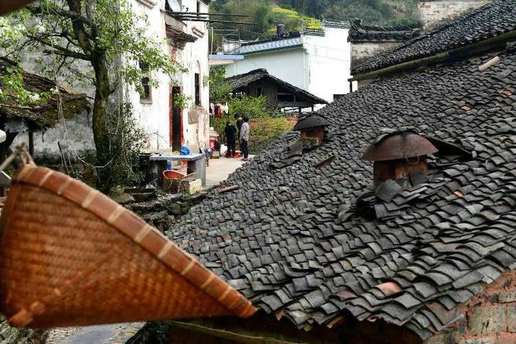 最新返皖规定，探索自然美景，重拾内心宁静之旅