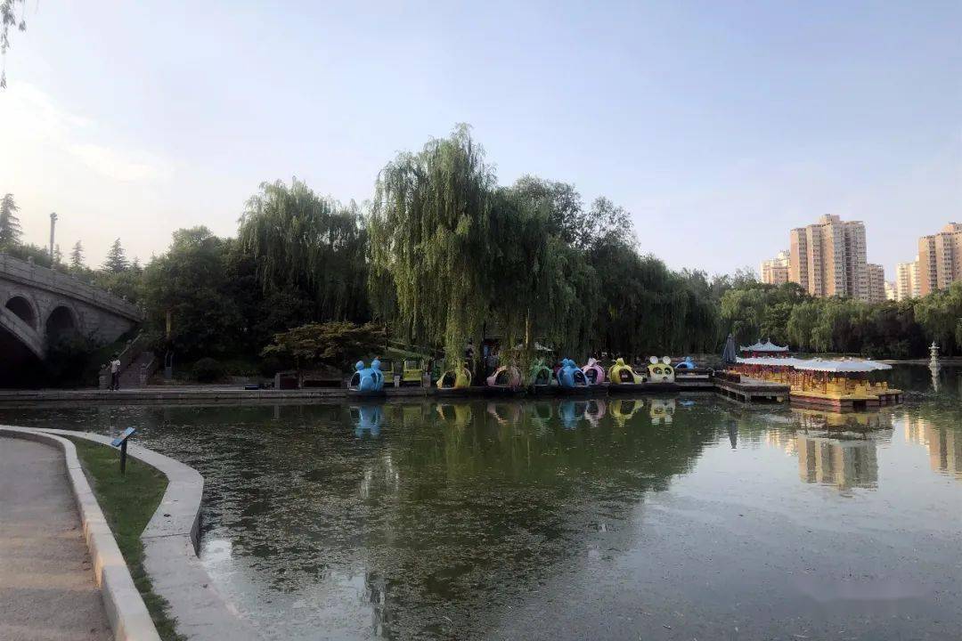 西安最新动态，探索自然美景之旅，寻找内心平和的乐园