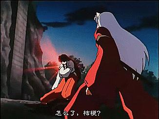 桔梗最新价格揭秘，友情与陪伴的温馨故事探索之旅