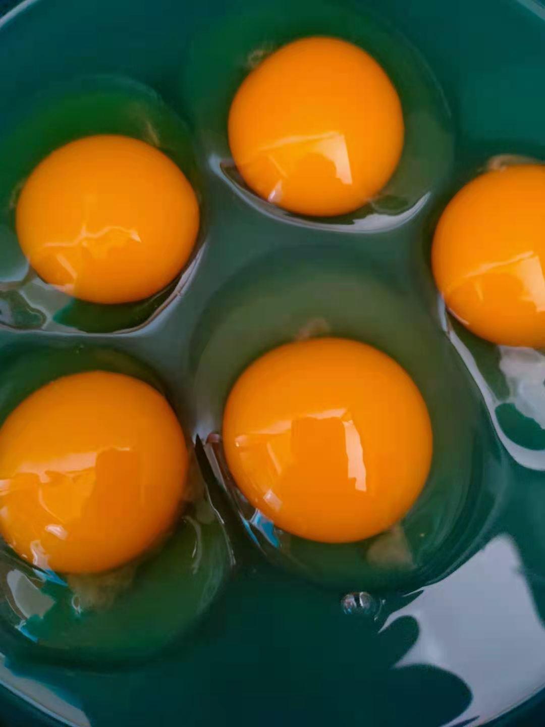 全国鸡蛋最新报价及市场动态速递📣🥚