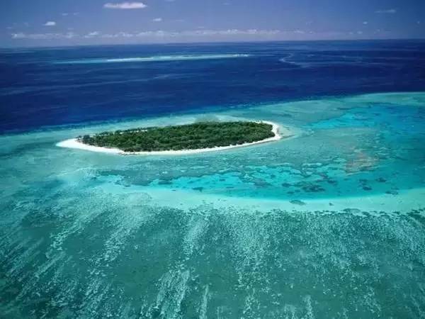 高碳锰铁最新价格，一场自然美景探索之旅的焦点话题
