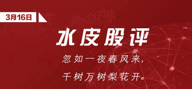 水皮最新文章，深度论述某观点