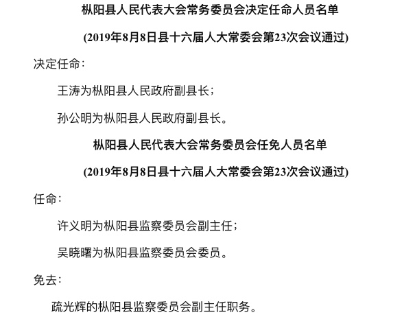 枞阳最新人事任免，小镇温情脉脉的人事调整