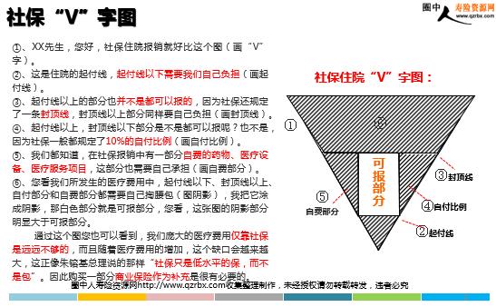 最新社保V型图步骤指南详解